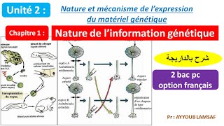 Nature de linformation génétique svt 2 bac pc option français شرح بالداريجة [upl. by Emmit]