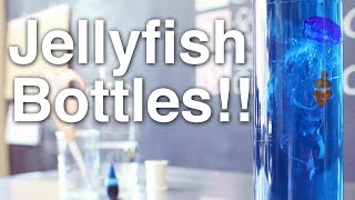 Jellyfish in a Bottle  Announcement [upl. by Akinar131]