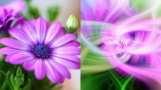 How to create abstract Twirl Art Effects in Photoshop [upl. by Anippesuig219]