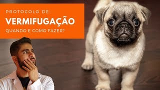 VERMIFUGAÇÃO  SAIBA COMO E QUANDO VERMIFUGAR SEU CÃO E GATO  DESVERMINAR [upl. by Kimmy]