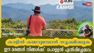 ARALAM WILDLIFE SANCTUARY PART 2 ARALAM TREKKING  ARALAM WILDLIFE SANCTUARY KANNUR [upl. by Daenis227]