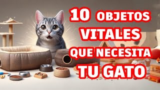 10 Objetos imprescindibles para tu gato ‐ Tu gato será feliz con esas cosas en su hogar [upl. by Fesoy832]