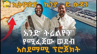 አንድ ትሪልየን የሚፈጀው ወደብ  አስደማሚ ፕሮጀክት  Lapsset Project  HuluDaily  ሁሉ ዴይሊ [upl. by Ynar]