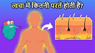 त्वचा में कितनी परतें होती हैं  How Your Skin Works In Hindi  Layers Of The Skin  Dr Binocs Show [upl. by Amahs303]