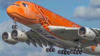 60 MINUTES PURE AVIATION  AIRBUS A380 B747 IL62 IL76 AN12 and more 4K [upl. by Pitt]