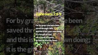 Ephesians 289 christ nature jesus wildlife bible jesuschrist [upl. by Gun727]