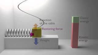 Animation of an Harmonic oscillator mechanics physics [upl. by Monroy]