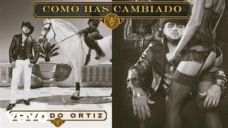 Gerardo Ortiz  Cómo Has Cambiado Audio [upl. by Ahsyas]