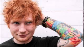 Ed Sheeran  Everything You Are  Dont EP [upl. by Rotciv]