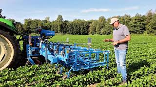 Schoffelen in sperziebonen met Lemken EC weeder en uitleg door specialist [upl. by Hteazile679]