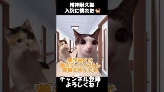 【精神科あるある】うつるときにはうつるんだと諦めた日【看護師あるある】shorts 猫ミーム 病気 [upl. by Ytteb]