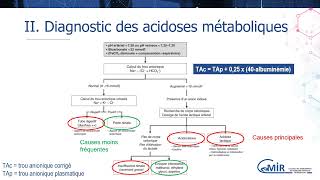 6 36 1 Acidose métabolique [upl. by Allina]