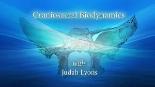 Lyons Institute  Craniosacral Biodynamics  Introduction [upl. by Batish]