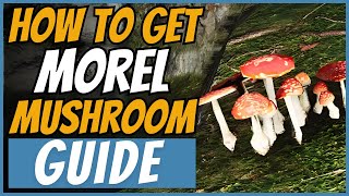 How to Get Morel Mushrooms in Once Human [upl. by Riorsson]