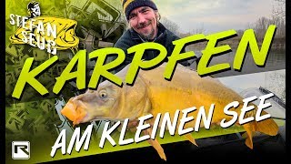 Karpfenangeln am kleinen See  So einfach findet und fangt Ihr Fische  Angeln auf Karpfen [upl. by Vinni4]