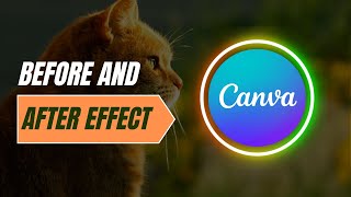 Transform Your Designs Before and After Effects in Canva  Beginner Tutorial [upl. by Lanti]