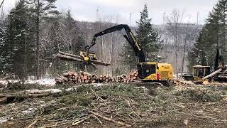 Prossesor working in the Maine woods tigercat masterlogger 855E 1075c irishlogging [upl. by Vaules613]