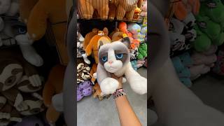 I found Grumpy Cat Stuffed Animals🥹🤍🐱🐈 shorts cat animals toys grumpy cute [upl. by Lilhak107]