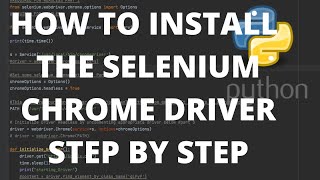 Selenium Python Tutorial  How to install Chrome Driver on Mac OSX [upl. by Imat]