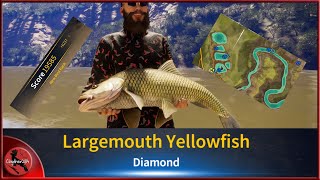 💎 DIME Largemouth Yellowfish 💎 FullCatch   Call of the Wild TheAngler [upl. by Rivi]