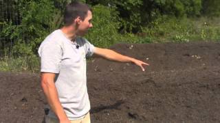 Hugelkultur Project Part 2 Planting the Polyculture [upl. by Alvie]