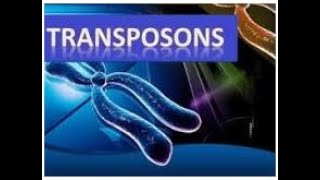 Transposons  Microbial Genetics  2024 [upl. by Ikila]