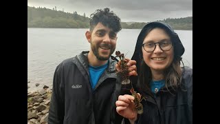 Learn about Signal Crayfish at Burrator Reservoir with South West Lakes Trust [upl. by Warton]