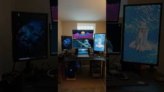 Is 5 Monitors Too Many [upl. by Nalon]