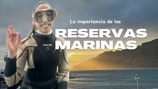 ¿Sirven de algo las Reservas Marinas [upl. by Adnamas]