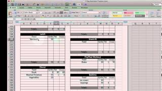 Excel Nutrition Tracking Template [upl. by Enirehs422]