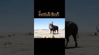 The Lion King Timon amp Pumbaa Telugu  Hollywood movies in Telugu Dubbed shortsshortsfeed [upl. by Suisyola]