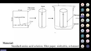 Chromatography practiclas paper circular strip 2 D [upl. by Lorine]