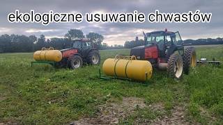 🔴odszedłem z pracy to koniec mojej kariery🙄 niszczę palnikiem gazowym 8 hektarów marchewki [upl. by Drarig]