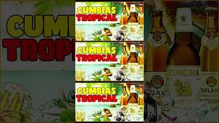 CUMBIAS TROPICALES MIX PARA BAILAR🍉 MIX DE CUMBIAS ✨TROPICAL PANAMATROPICAL FLORIDAJUNIOR KLAN [upl. by Tenn994]