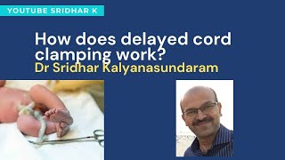 How does delayed cord clamping work Physiology behind delayed cord clamping Dr Sridhar K [upl. by Bohlen427]