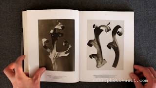 NEW VERSION  KARL BLOSSFELDT 1865 1932  Still Life Photography Inspiration [upl. by Adnilrem]