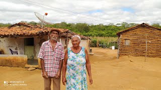 INCRÍVEL A NATUREZA NO SERTÃO NORDESTINO DO BRASIL [upl. by Geminian]