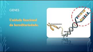 CROMOSSOMOS  GENES E HOMÓLOGOS [upl. by Lemmy]