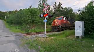 CN « 559» at Route Cassista Bic « Rimouski» eastbound to MontJoli on june 22th 2024 [upl. by Dnyletak]