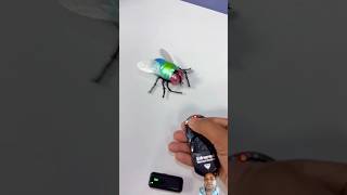 Remote Control Simulation Housefly toys satisfying automobile ruhulshorts unboxing [upl. by Refinnej]