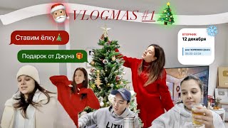 КОРЕЯ VLOGMAS 1 ставим ёлку 🎄 день памяти моего папы 💔 дорогой подарок от Джуна 🎁 [upl. by Aarika423]