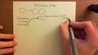 Antimitotic Drugs Part 1 [upl. by Farmelo]