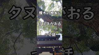 榎木神社に行ってきました shortvideo shorts shine oosaka shortvideo shortsvido short pokemongo ar [upl. by Ecnirp449]