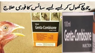 Genta Combisone Injection for Chicken Aseel Hens and large Animal best medication for poultry [upl. by Eletnahc60]