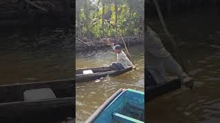 Pesca de Pargo Gigante sigueme viral pesca videos viral [upl. by Tallbot841]