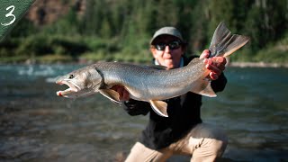 NORTHERN NATIVES  Catching Monster Bull Trout on the fly [upl. by Huldah]