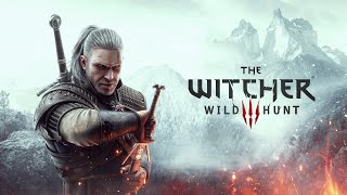 The Witcher 3 Wild Hunt ep 12 [upl. by Adnocahs]