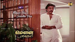 Nilaavae Vaa HD Video Song  Mouna Ragam HD Video Songs  Mohan  Revathi  Ilaiyaraaja [upl. by Kurman]