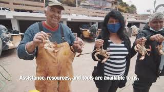 Cooperación entre caletas de pescadores  Puerto San Antonio y Concón [upl. by Abehsat]