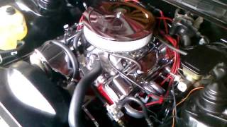 85 TransAm Thumpr cam and gear drive [upl. by Vincenty]